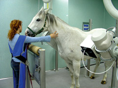 ZooMax Equine Radiographic System